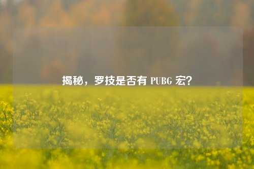 揭秘，罗技是否有 PUBG 宏？