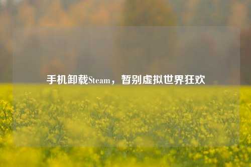 手机卸载Steam，暂别虚拟世界狂欢