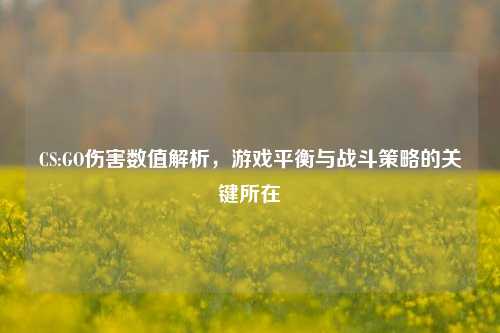 CS:GO伤害数值解析，游戏平衡与战斗策略的关键所在