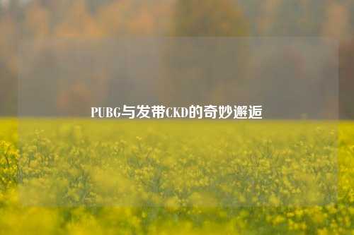 PUBG与发带CKD的奇妙邂逅