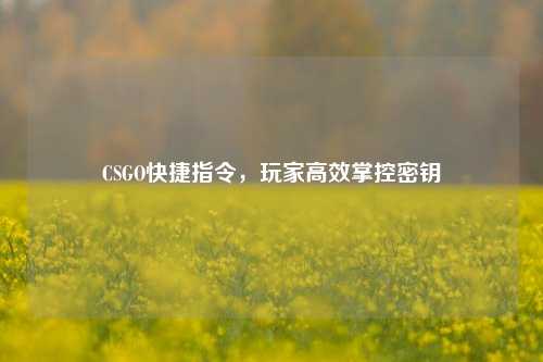 CSGO快捷指令,玩家高效掌控密钥