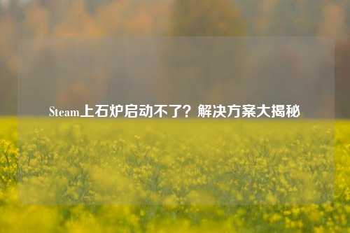 Steam上石炉启动不了?解决方案大揭秘