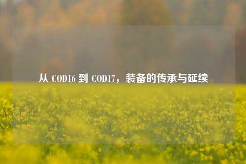 从 COD16 到 COD17，装备的传承与延续