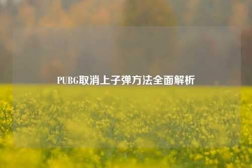 PUBG取消上子弹方法全面解析