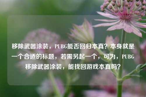 移除武器涂装，PUBG能否回归本真？本身就是一个合适的标题，若需另起一个，可为，PUBG移除武器涂装，能找回游戏本真吗？