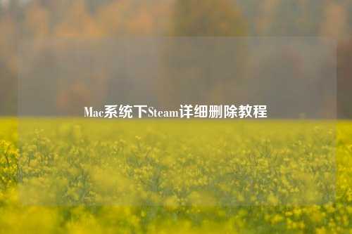 Mac系统下Steam详细删除教程