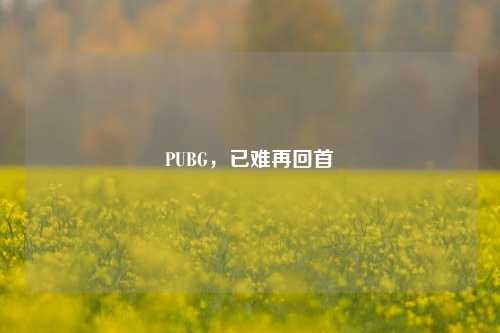 PUBG，已难再回首