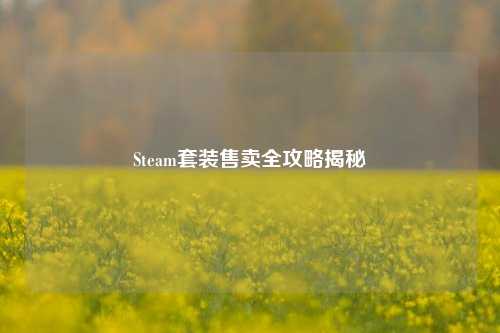 Steam套装售卖全攻略揭秘