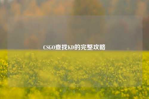 CSGO查找KD的完整攻略