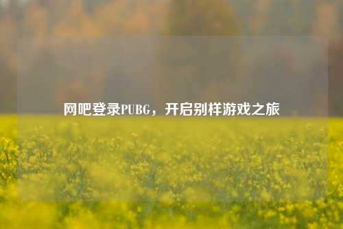 网吧登录PUBG,开启别样游戏之旅