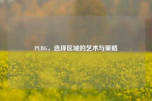 PUBG，选择区域的艺术与策略