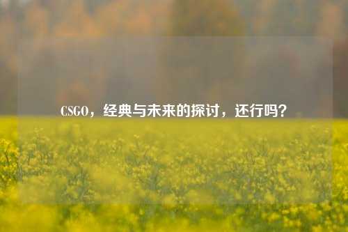 CSGO，经典与未来的探讨，还行吗？