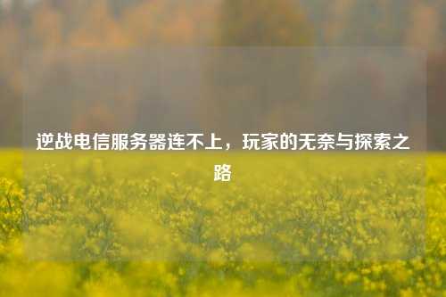 逆战电信服务器连不上，玩家的无奈与探索之路