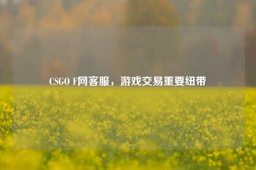 CSGO F网客服，游戏交易重要纽带