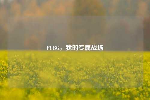 PUBG,我的专属战场