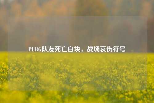 PUBG队友死亡白块，战场哀伤符号