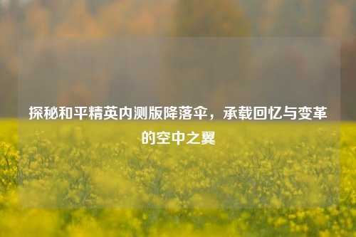 探秘和平精英内测版降落伞,承载回忆与变革的空中之翼