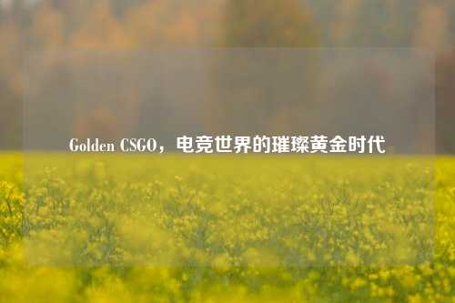 Golden CSGO，电竞世界的璀璨黄金时代