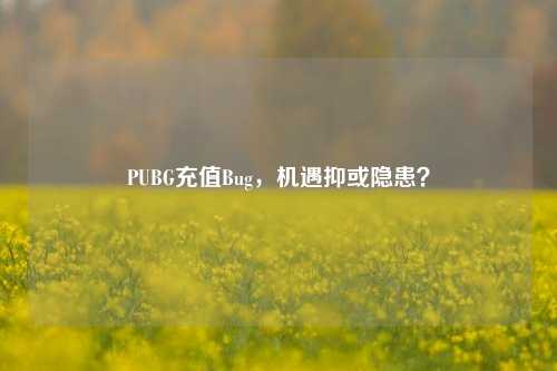 PUBG充值Bug,机遇抑或隐患?