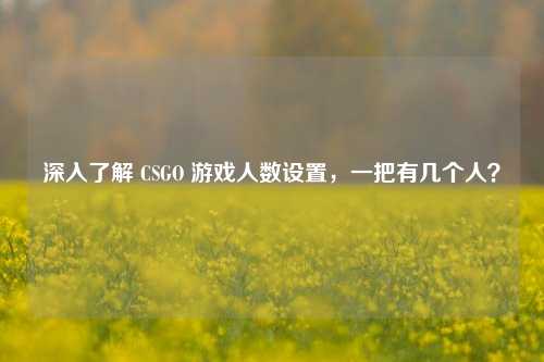 深入了解 CSGO 游戏人数设置，一把有几个人？