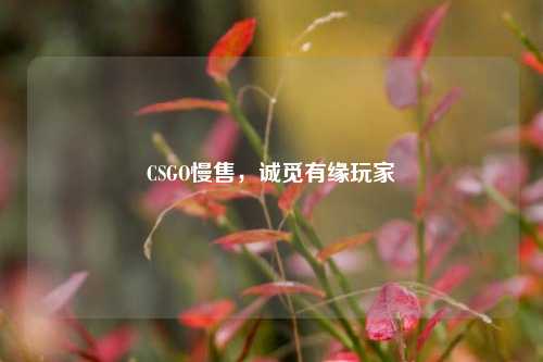 CSGO慢售,诚觅有缘玩家