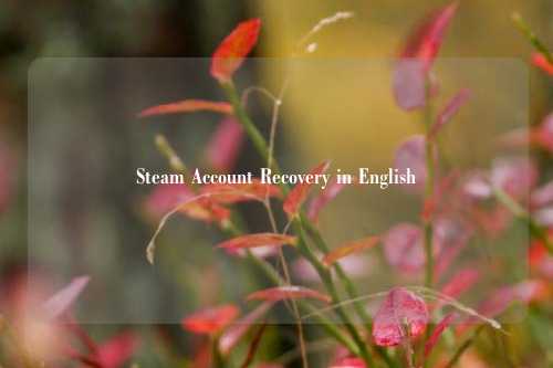 Steam Account Recovery in English