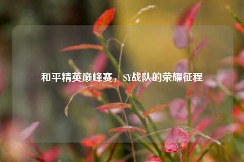 和平精英巅峰赛,SY战队的荣耀征程