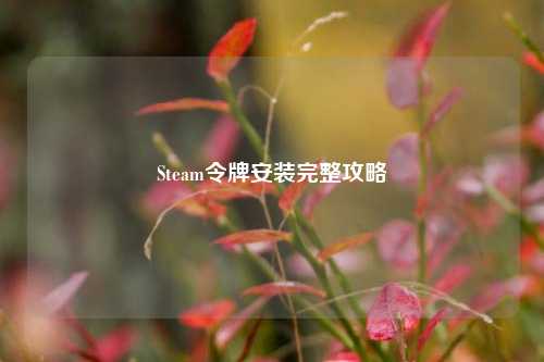 Steam令牌安装完整攻略