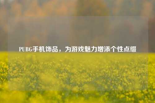 PUBG手机饰品,为游戏魅力增添个性点缀