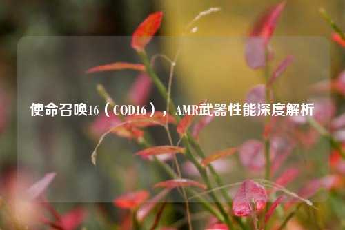 使命召唤16(COD16),AMR武器性能深度解析