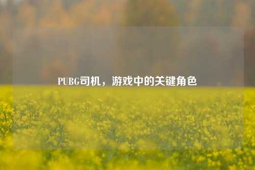 PUBG司机,游戏中的关键角色