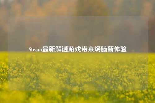Steam最新解谜游戏带来烧脑新体验