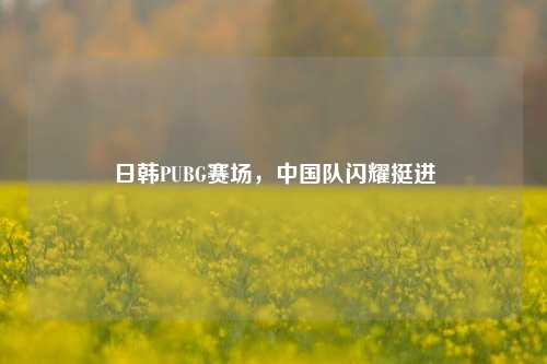 日韩PUBG赛场，中国队闪耀挺进