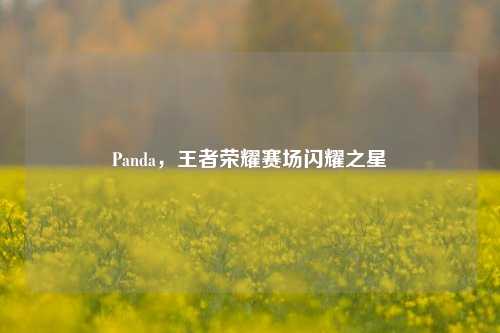 Panda,王者荣耀赛场闪耀之星