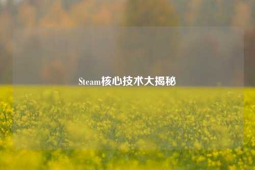 Steam核心技术大揭秘