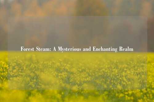 Forest Steam: A Mysterious and Enchanting Realm