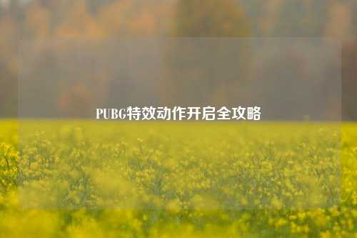 PUBG特效动作开启全攻略