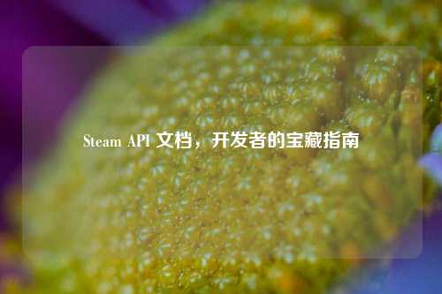 Steam API 文档,开发者的宝藏指南