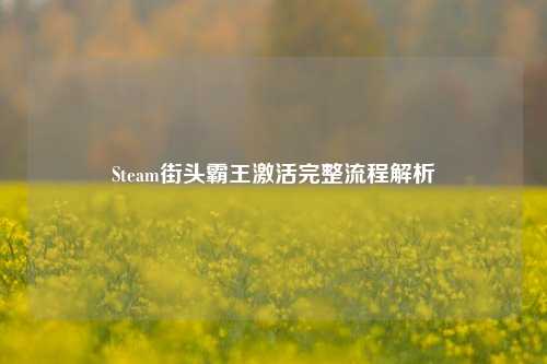 Steam街头霸王激活完整流程解析