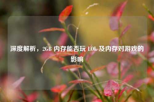 深度解析,2GB 内存能否玩 LOL 及内存对游戏的影响