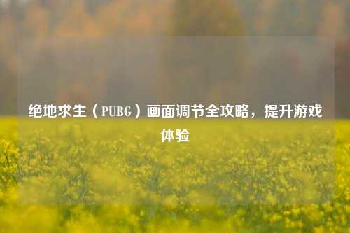 绝地求生（PUBG）画面调节全攻略，提升游戏体验
