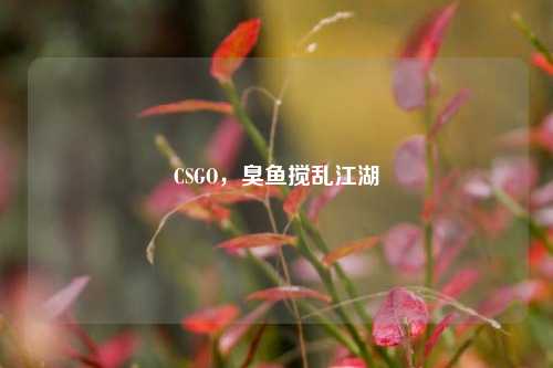CSGO，臭鱼搅乱江湖