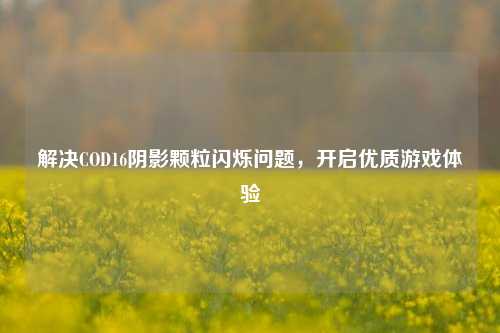 解决COD16阴影颗粒闪烁问题，开启优质游戏体验