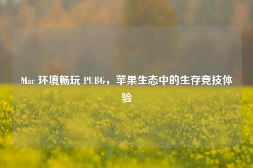 Mac 环境畅玩 PUBG，苹果生态中的生存竞技体验