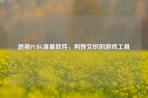 透视PUBG准星软件，利弊交织的游戏工具