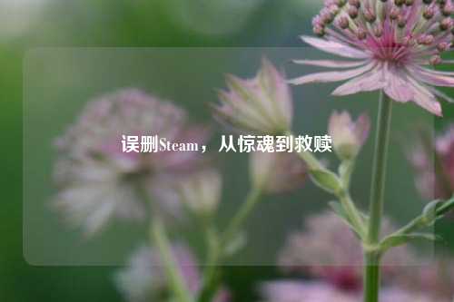 误删Steam，从惊魂到救赎