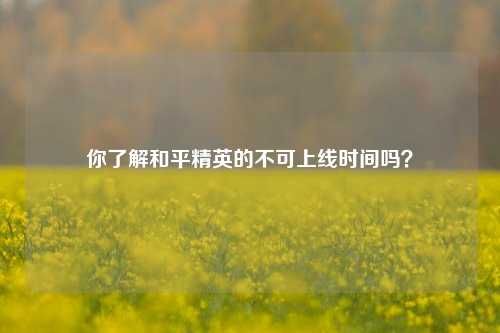 你了解和平精英的不可上线时间吗？