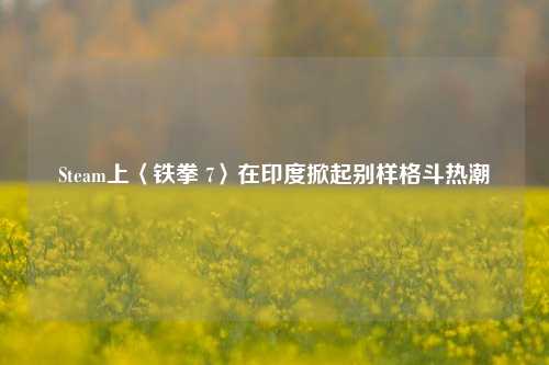Steam上〈铁拳 7〉在印度掀起别样格斗热潮