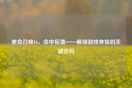使命召唤16，命中反馈——解锁游戏体验的关键密码