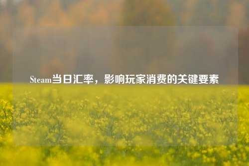 Steam当日汇率，影响玩家消费的关键要素